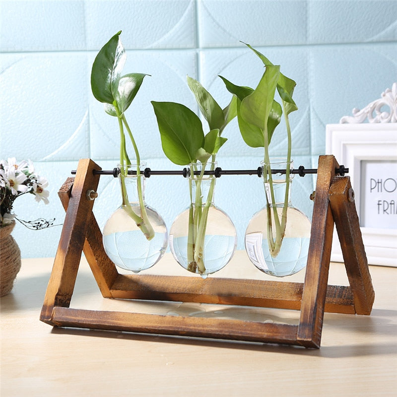 Tabletop Glass and Wood Vase Planter